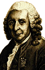 Portrait Linné