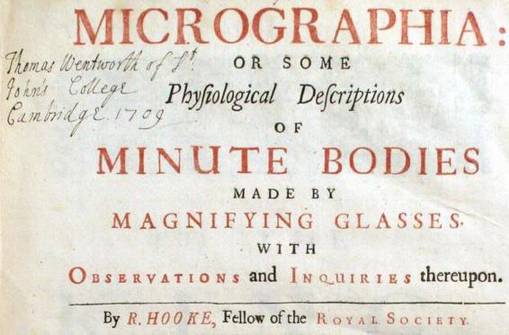 micrographia Hooke