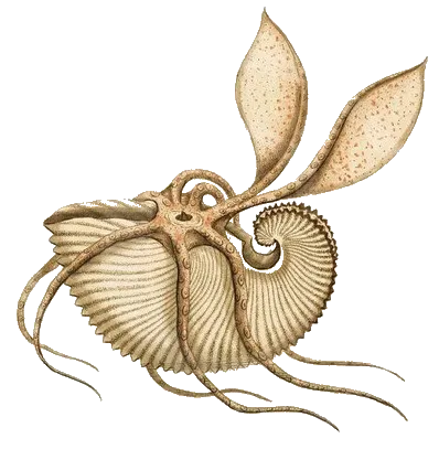 Argonaute