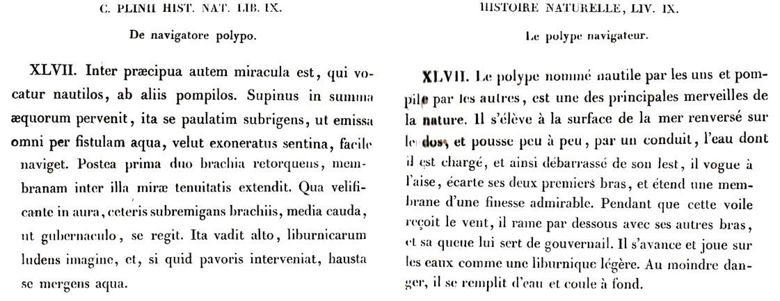 Nautile Pline l'Ancien