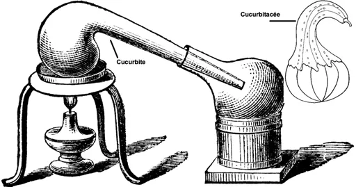Cucurbite