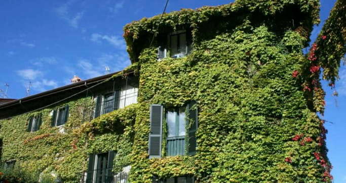 Végétalisation façade