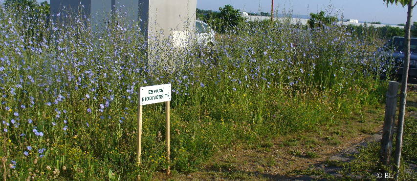 espace biodiversite