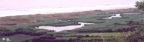 Mare vauville