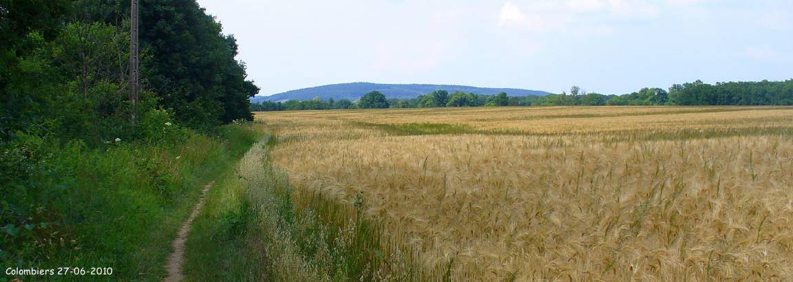 Chemin de Maures