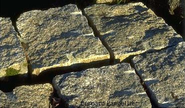 Granite Damigni