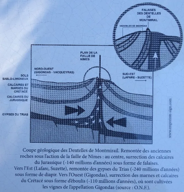 Coupe géologique dentelle Montmirail