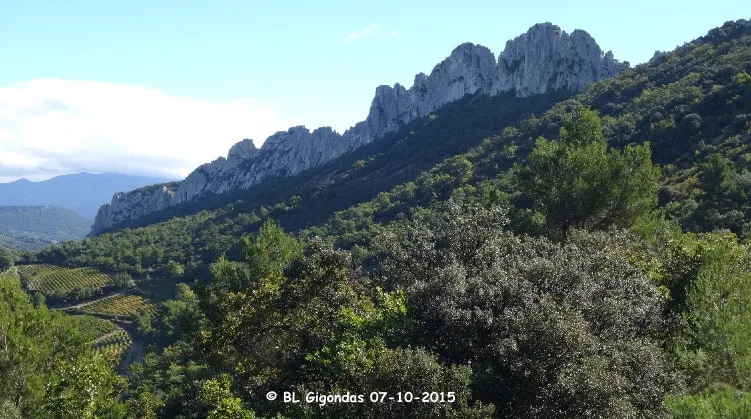 Dentelles Montmirail