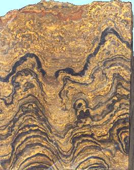 stromatolite