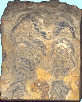 stromatolite