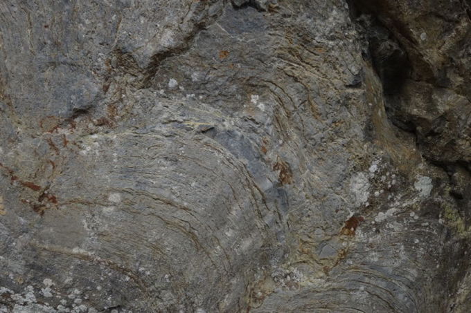 Stromatolites vallée de la Laize