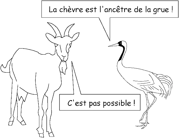 Chèvre Grue Chèvre Grue