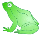 Mon bébé ! Grenouille