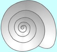 Spirale hélicoïdale