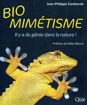 Biomimétisme Camborde