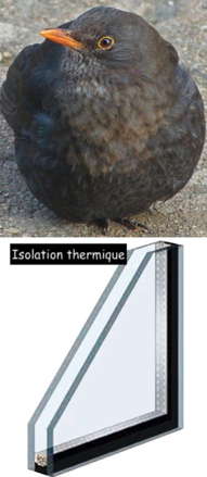 Isolation thermique