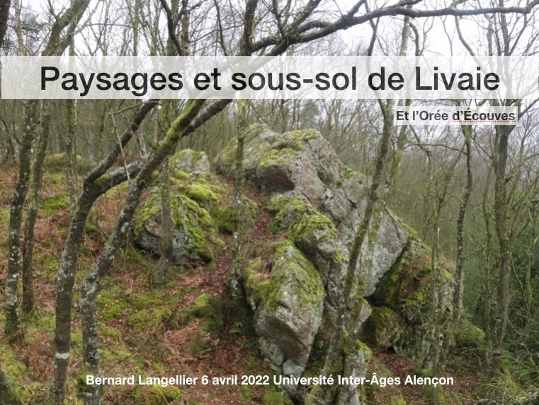 Livaie