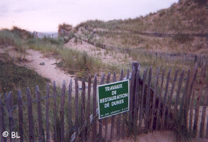 protection dunes Biville