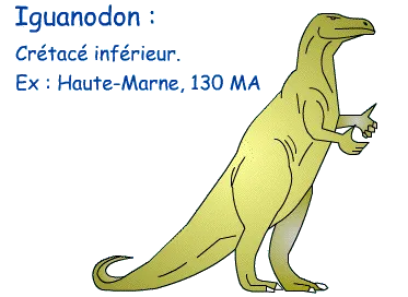 Iguanodon