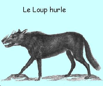 loup